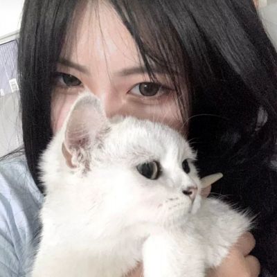 银时之魂破解版下载